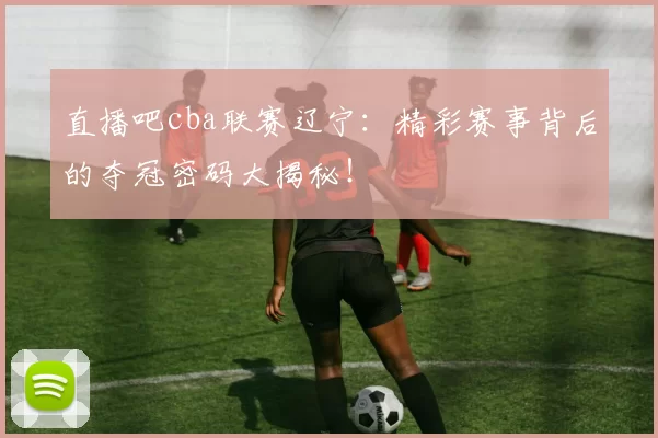 直播吧cba联赛辽宁：精彩赛事背后的夺冠密码大揭秘！